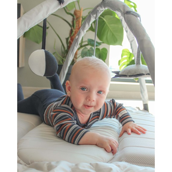 Babynest and babylift in one | Easygrow Favn