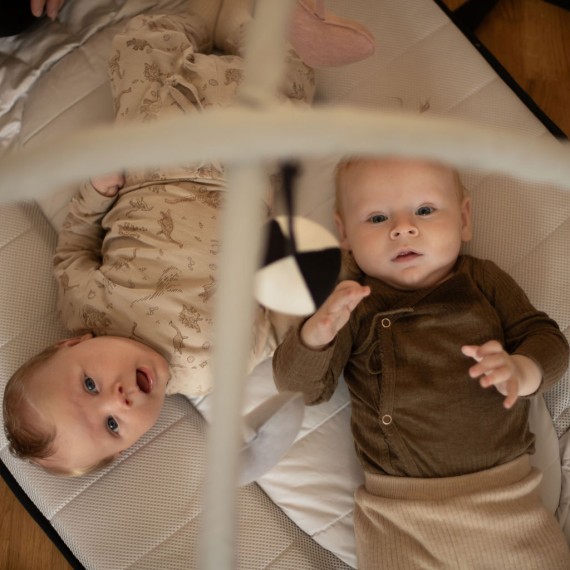 Babynest and babylift in one | Easygrow Favn