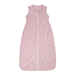 Night Lett 12-36 months